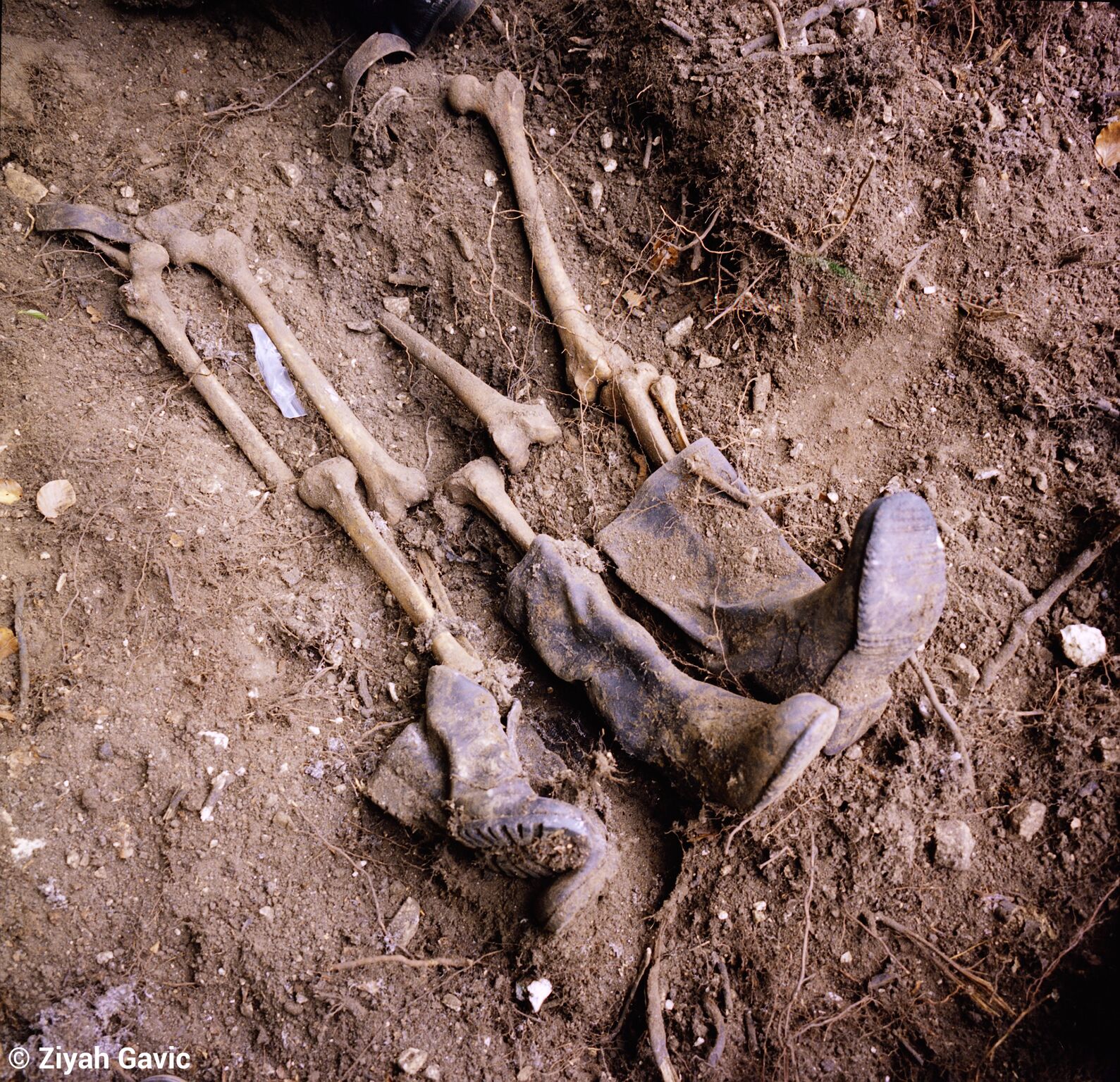 EASTERN BOSNIA - JULY 2001: Individual graves are easy to dig up. You need two workers, one shovel and a pickaxe. Forensics and anthropologists then collect the bones and pack them into white, plastic bags. With mass graves things are more complicated. They're often situated in natural caves, and, after were thrown in, the Serbian army would drop in grenades, mortar shells, explosives to destroy the evidence. During the war in Bosnia I never saw an explosion of mortar shell that killed tens of people; I never saw when sniper bullet hit a woman crossing the road.; I was either just behind the corner or I was laying on the ground; looking for shelter.; During the war I wasn’t photographer; I was 15 when war ended. But I was raised in war. And that is something that will always be in the back of my brain. Every time I press the shutter it recalls things I saw in war but didn’t photographed. I was news myself and now I photograph other people being news. After war ended journalists went away and suddenly Bosnia was gone from the cover pages and TV. I looked around and felt that they went too early; abandoned the subject whilst it was still hot; it was so many things going on and far most important there was a Life going on; difficult but worth living and photographing. So I spent 4 years photographing the Aftermath of Bosnian war for independence. I went to the sites of the mass executions where tens of thousands of Bosnians found their end. There is between 25000 and 30000 missing Bosnians. Numbers are still not final. Most of missing were killed in manhunt that came after the fall of “safe UN zones” like Srebrenica. Most of them were civilians.