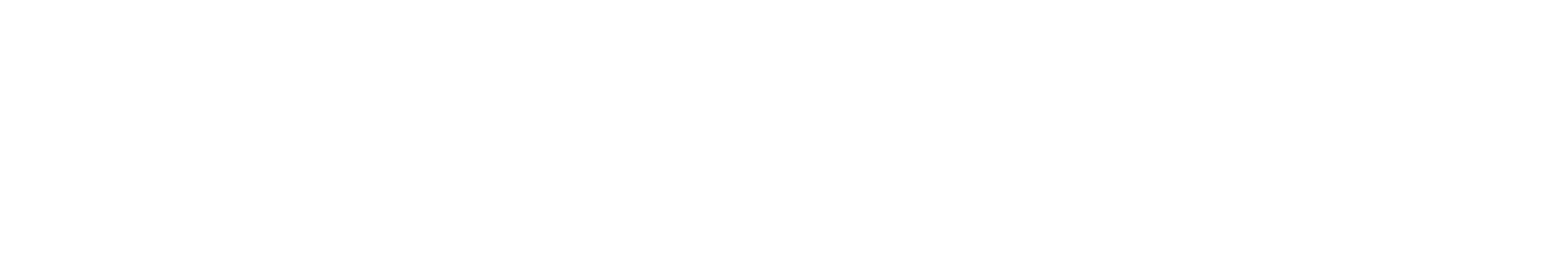 Sina Careers logo